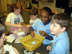 Elementary Science Olympiad: 2006 Final Facts